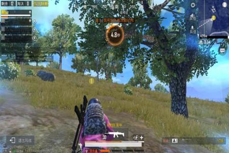 和平精英外挂有观战提醒吗(和平精英外挂观战能发现吗) 和平精英外挂有观战提醒吗(和平精英外挂观战能发现吗)